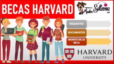 Becas Harvard 2022-2023