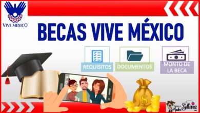 Becas Vive México 2022-2023