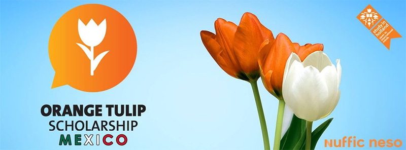 2021 2022 banner becas holanda beca orange tulip mexico nuffic neso a1979