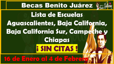 Aguascalientes, Baja California, Baja California Sur, Campeche y Chiapas, listas de planteles en ser ATENDIDOS 16 al 4 de Febrero