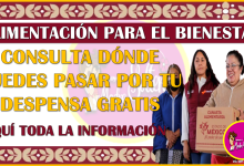 ¿En dónde podrás recoger la Despensa Gratis Edomex? aqui te explico: Alimentación para el Bienestar