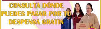 ¿En dónde podrás recoger la Despensa Gratis Edomex? aqui te explico: Alimentación para el Bienestar