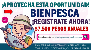 Aprende a registrarte en este programa de apoyo financiero para pescadores y agricultores