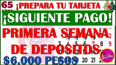 ¡ATENTOS ADULTOS MAYORES! esta semana comienzan los pagos de la Pensión Bienestar de 65 años y más