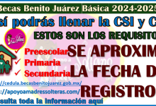 ¿Como se llena la CSI y CU en el REGISTRO de las Becas Benito Juárez 2024-2025? aquí te explico