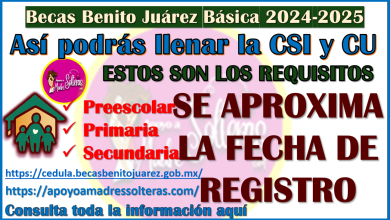 ¿Como se llena la CSI y CU en el REGISTRO de las Becas Benito Juárez 2024-2025? aquí te explico