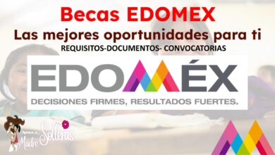 Becas EDOMEX
