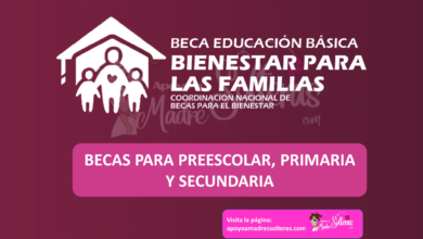 ¿Cómo ser parte del programa de becas Benito Juárez de Educación Básica?