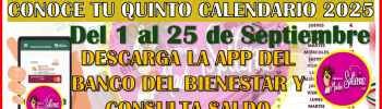 Ya puedes consultar tu quinto calendario oficial 2025: Pensión Bienestar de Discapacidad