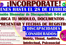 ¿Quieres saber cuales se consideran discapacidades permanentes para solicitar la Pensión Bienestar de Discapacidad? Te informamos