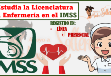 ESTUDIA EN LA ESCUELA DEL IMSS ENFERMERÍA REQUISITOS Y PROCESO DE INSCRIPCIÓN AQUI.