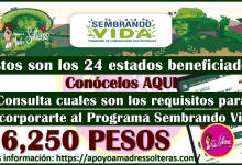 ¡MUCHAS FELICIDADES! estos son los estados que están recibiendo su depósito de $6,250 pesos: Sembrando Vida 2024