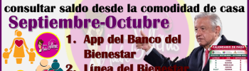 Aqui te doy los pasos para que consultes saldo sin salir de casa: Comienzan los depósitos de las Pensiones del Bienestar