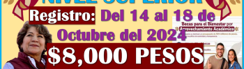 Ya puedes solicitar la Beca de Aprovechamiento si estas estudiando tu carrera universitaria en el Estado de México