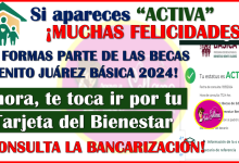 Si tu Estatus aparece como "ACTIVA" muchas felicidades ya eres parte de las Becas Benito Juárez