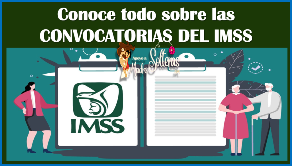 ¿Cómo Participar A La Convocatoria IMSS?