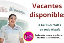 ¿Estas desempleado? El BANCO BIENESTAR abrió nuevas vacantes, es muy fácil registrate