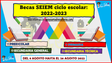 Inicia el REGISTRO de BECA SEIEM 2022. REALIZALO AQUÍ. Preescolar, Primaria y Secundaria.