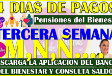 TERCERA SEMANA DE DEPÓSITOS: Pensión Bienestar del Adulto Mayor, Discapacidad y Madres Trabajadoras