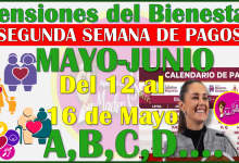 Segunda semana de pagos, descubre quienes cobran del 12 al 16 de Mayo: Pensiones del Bienestar