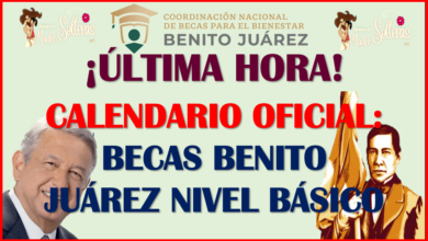 CALENDARIO OFICIAL DE LAS BECAS BENITO JUÁREZ 2023, NIVEL BÁSICO, aquí toda la información