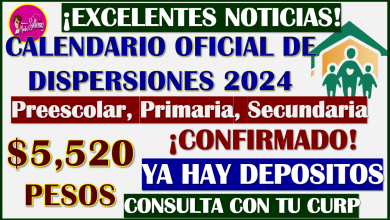 Tu Calendario Oficial 2024 de las Becas Benito Juárez Nivel Básico, ya se encuentra disponible, consulta tu fecha de pagos