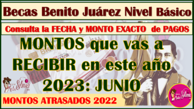 Becas Benito Juárez Nivel Básico, este es el MONTO TOTAL que vas a recibir en junio, aquí toda la información