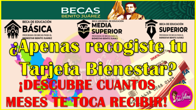 ¿Apenas recogiste tu Tarjeta del Bienestar? Descubre cuantos meses de beca te toca recibir en tu cuenta: Becas Benito Juárez