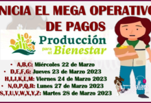 Este es el CALENDARIO OFICIAL DE PAGOS del Programa Producción del Bienestar, conoce los detalles aqui
