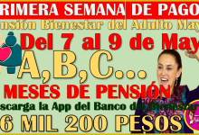 Primera semana de pagos de la Pensión Bienestar del Adulto Mayor bimestre Mayo-Junio 2025