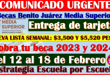 Del 12 al 18 de Febrero recibes tu Tarjeta del Bienestar: Becas Benito Juárez Nivel Media Superior 2024