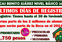 ¡ÚLTIMOS DÍAS DE REGISTRO! Preescolar,Primaria y Secundaria: Becas Benito Juárez 2024