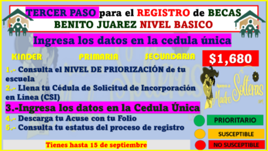 TERCER PASO ¿Qué es la Cédula Única para el registro de las Becas Benito Juárez? AQUI te damos el proceso.