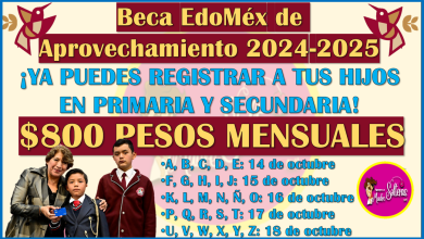 Ya puedes REGISTRARTE en la Beca de Aprovechamiento 2024-2025, aquí toda la información