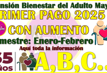 Oficialmente habrá AUMENTO en la Pensión Bienestar del Adulto Mayor en el 2025, aquí más detalles