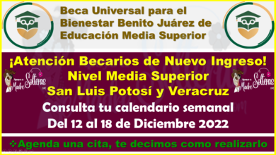 Becarios de Nuevo Ingreso de Nivel Media Superior de Veracruz y San Luis Potosí, conoce tu calendario semanal aquí