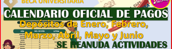 Calendario Oficial de Pago de Jóvenes Escribiendo el Futuro 2025, hasta 17 mil 400 de Beca