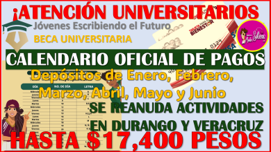 Calendario Oficial de Pago de Jóvenes Escribiendo el Futuro 2025, hasta 17 mil 400 de Beca