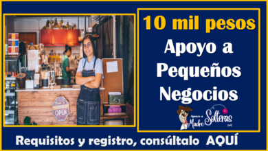 CONVOCATORIA "Apoyo de 10 mil pesos para Negocios" aquí la información