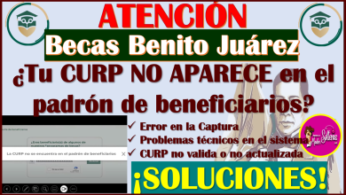 Becas Benito Juárez ¿Que debo de hacer si la plataforma NO RECONOCE mi CURP?