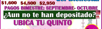 ¿Aun no te llega tu QUINTO PAGO de la Pensión Bienestar? Así puede ubicarlo con tu CURP