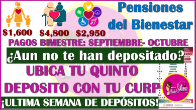 ¿Aun no te llega tu QUINTO PAGO de la Pensión Bienestar? Así puede ubicarlo con tu CURP