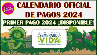 ATENCIÓN SEMBRANDO VIDA: Calendario Oficial de Pagos 2024, aquí te lo compartimos