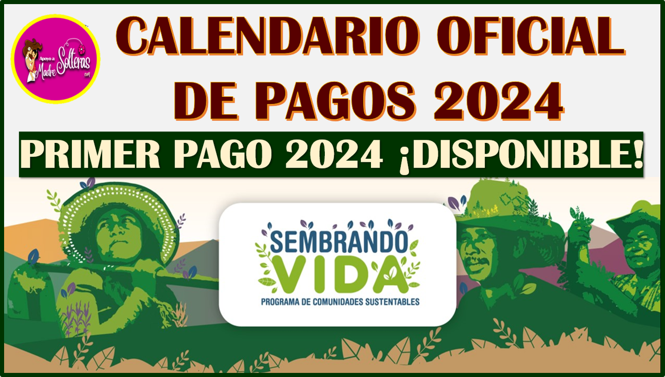 ATENCIÓN SEMBRANDO VIDA Calendario Oficial De Pagos 2024, Aquí Te Lo