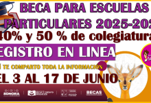 Convocatoria para una Beca de escuelas particulares: Preescolar, Primaria y Secundaria 2025