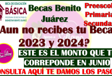 Preescolar, Primaria y Secundaria, este es tu monto total si aún no has recibido depósitos 2023 y 2024 de las Becas Benito Juárez