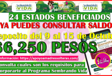 ¡YA PUEDES CONSULTAR SALDO! Si formas parte parte del Programa Sembrando Vida