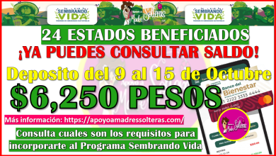 ¡YA PUEDES CONSULTAR SALDO! Si formas parte parte del Programa Sembrando Vida