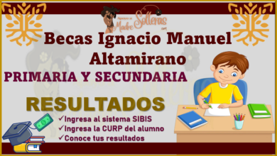 Conoce los resultados de las becas Ignacio Manuel Altamirano, te contamos los detalles.
