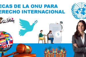 becas-de-la-onu-para-derecho-internacional-2021